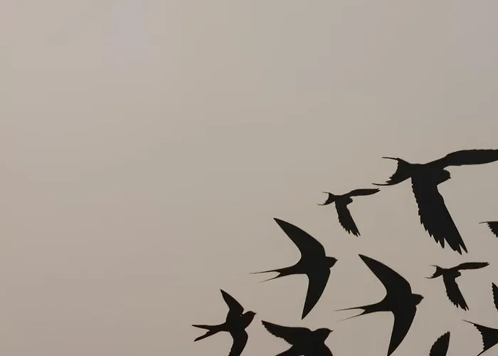 Casa Do Castelo 1- Work Or Relax In The Historic Heart Of Lisbon! * Lissabon